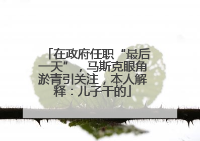 在政府任职“最后一天”，马斯克眼角淤青引关注，本人解释：儿子干的