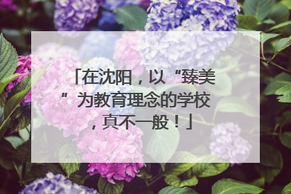 在沈阳，以“臻美”为教育理念的学校，真不一般！
