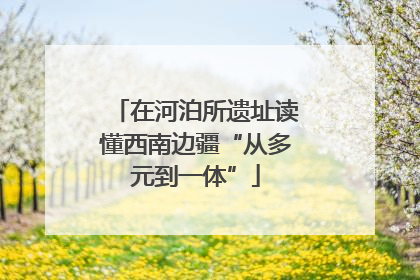 在河泊所遗址读懂西南边疆“从多元到一体”