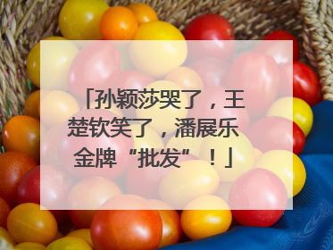 孙颖莎哭了，王楚钦笑了，潘展乐金牌“批发”！