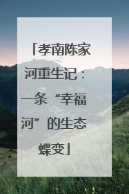 孝南陈家河重生记：一条“幸福河”的生态蝶变
