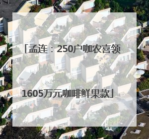 孟连：250户咖农喜领1605万元咖啡鲜果款
