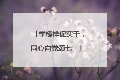 学榜样促实干，同心向党颂七一
