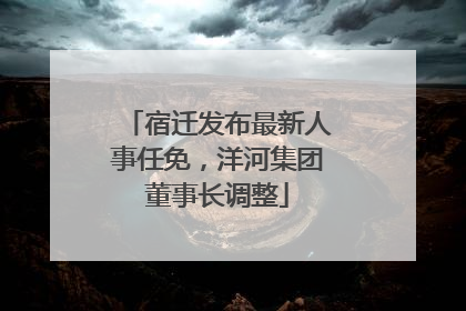 宿迁发布最新人事任免，洋河集团董事长调整