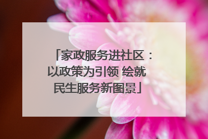 家政服务进社区：以政策为引领 绘就民生服务新图景