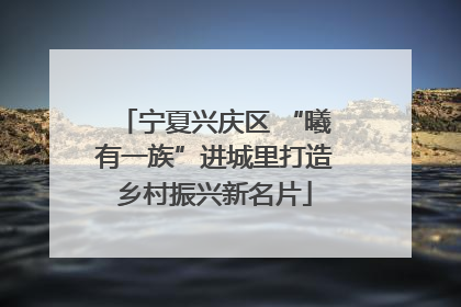 宁夏兴庆区 “曦有一族”进城里打造乡村振兴新名片