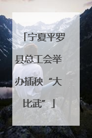 宁夏平罗县总工会举办插秧“大比武”
