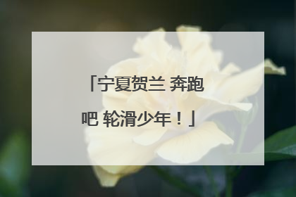 宁夏贺兰 奔跑吧 轮滑少年！