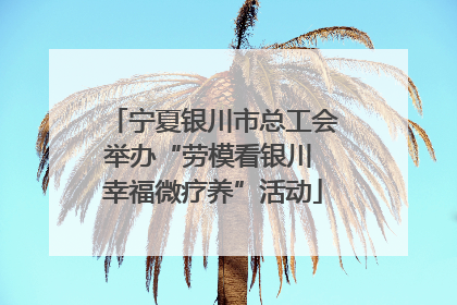 宁夏银川市总工会举办“劳模看银川 幸福微疗养”活动