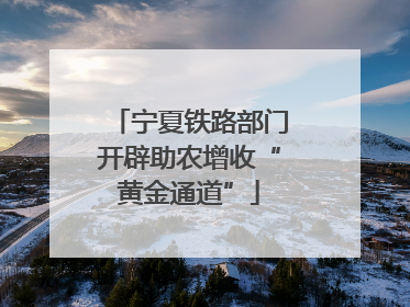 宁夏铁路部门开辟助农增收“黄金通道”