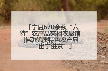 宁夏670余款“六特”农产品亮相农展馆 推动优质特色农产品“出宁进京”
