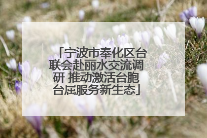 宁波市奉化区台联会赴丽水交流调研 推动激活台胞台属服务新生态