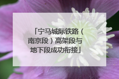 宁马城际铁路（南京段）高架段与地下段成功衔接