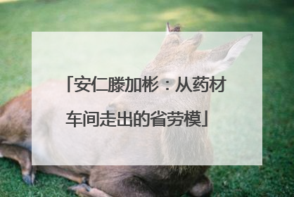 安仁滕加彬：从药材车间走出的省劳模
