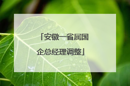 安徽一省属国企总经理调整