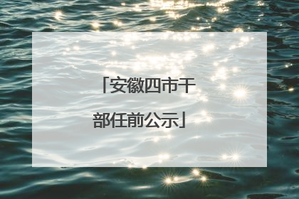 安徽四市干部任前公示