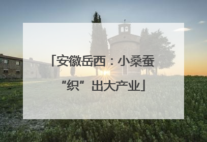 安徽岳西：小桑蚕“织”出大产业