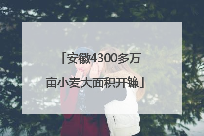 安徽4300多万亩小麦大面积开镰