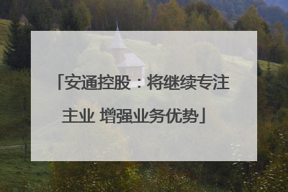 安通控股：将继续专注主业 增强业务优势