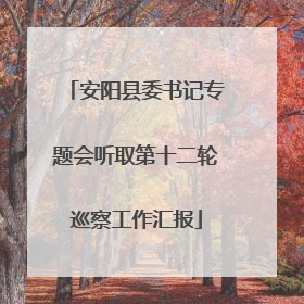 安阳县委书记专题会听取第十二轮巡察工作汇报