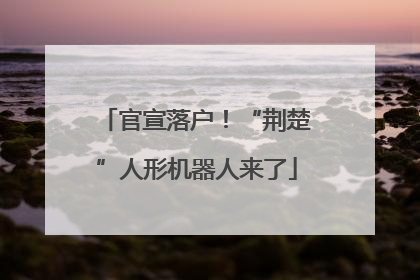官宣落户！“荆楚”人形机器人来了