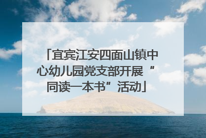 宜宾江安四面山镇中心幼儿园党支部开展“同读一本书”活动