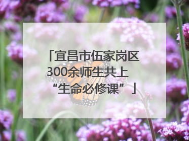 宜昌市伍家岗区300余师生共上“生命必修课”