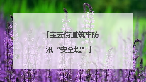 宝云街道筑牢防汛“安全堤”