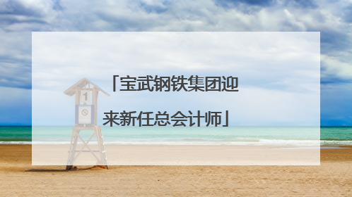 宝武钢铁集团迎来新任总会计师