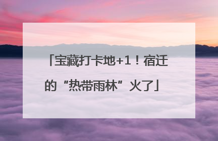 宝藏打卡地+1！宿迁的“热带雨林”火了