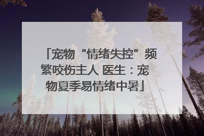 宠物“情绪失控”频繁咬伤主人 医生：宠物夏季易情绪中暑