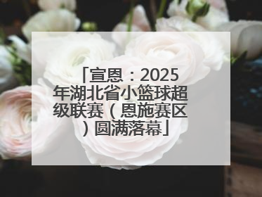 宣恩：2025年湖北省小篮球超级联赛（恩施赛区）圆满落幕