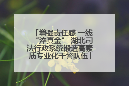 增强责任感 一线“淬真金” 湖北司法行政系统锻造高素质专业化干警队伍
