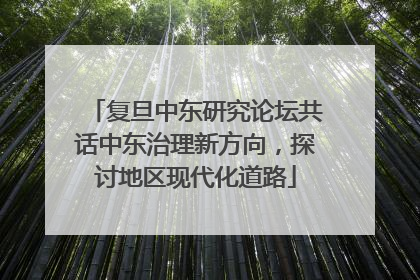 复旦中东研究论坛共话中东治理新方向，探讨地区现代化道路
