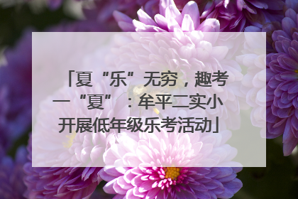 夏“乐”无穷，趣考一“夏”：牟平二实小开展低年级乐考活动