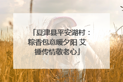 夏津县平安湖村：粽香包意暖夕阳 艾锤传情敬老心