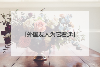 外国友人为它着迷