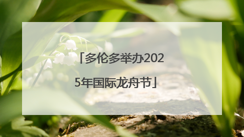 多伦多举办2025年国际龙舟节
