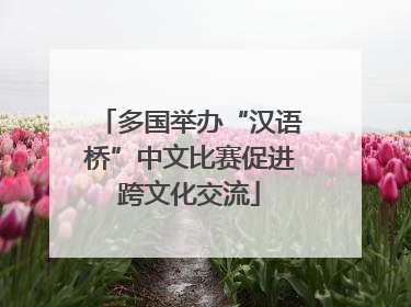 多国举办“汉语桥”中文比赛促进跨文化交流