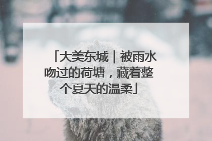 大美东城｜被雨水吻过的荷塘，藏着整个夏天的温柔
