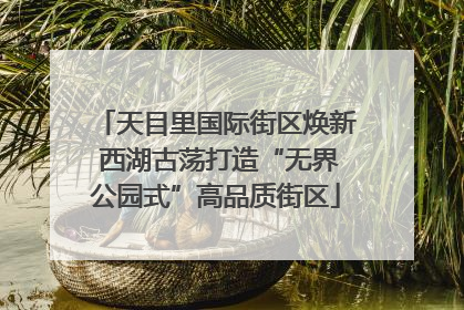 天目里国际街区焕新 西湖古荡打造“无界公园式”高品质街区