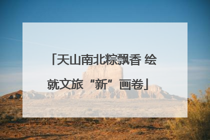 天山南北粽飘香 绘就文旅“新”画卷