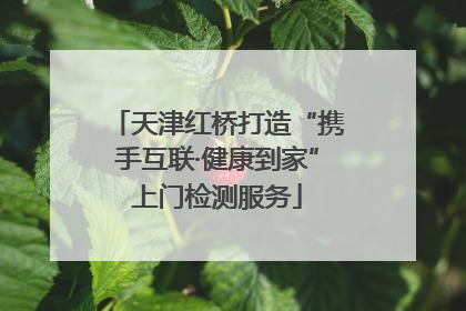 天津红桥打造“携手互联·健康到家”上门检测服务