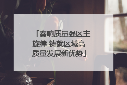 奏响质量强区主旋律 铸就区域高质量发展新优势