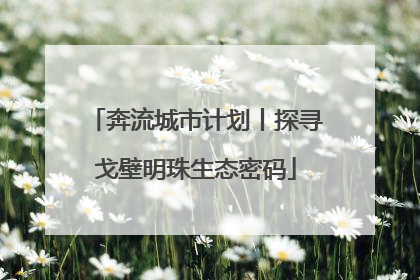 奔流城市计划丨探寻戈壁明珠生态密码