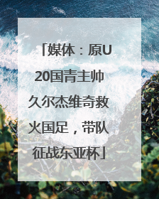 媒体：原U20国青主帅久尔杰维奇救火国足，带队征战东亚杯