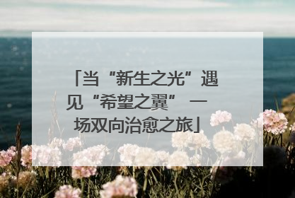 当“新生之光”遇见“希望之翼” 一场双向治愈之旅