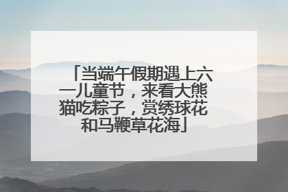 当端午假期遇上六一儿童节，来看大熊猫吃粽子，赏绣球花和马鞭草花海