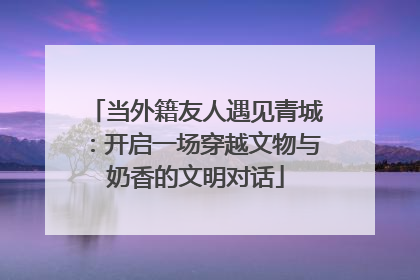 当外籍友人遇见青城：开启一场穿越文物与奶香的文明对话