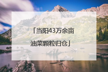 当阳43万余亩油菜颗粒归仓